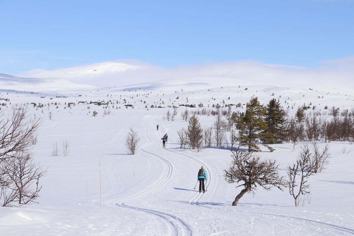 Women cross-country skiing on a snowy trail through the Norwegian countryside