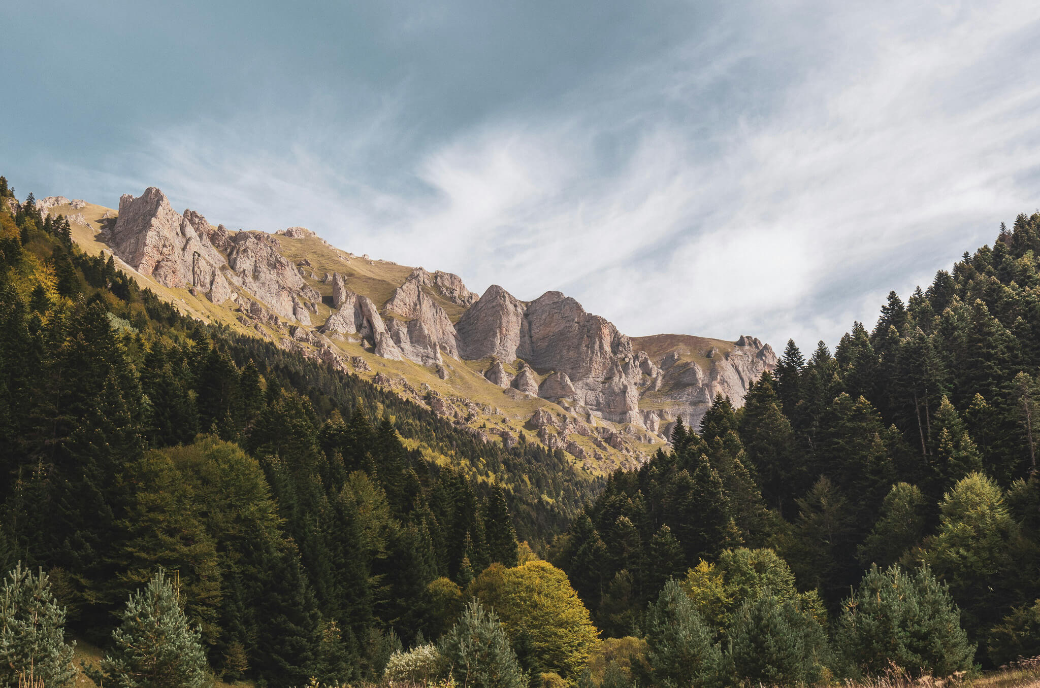 Rocky mountain range above a pine forest under a cloudy sky in Europe