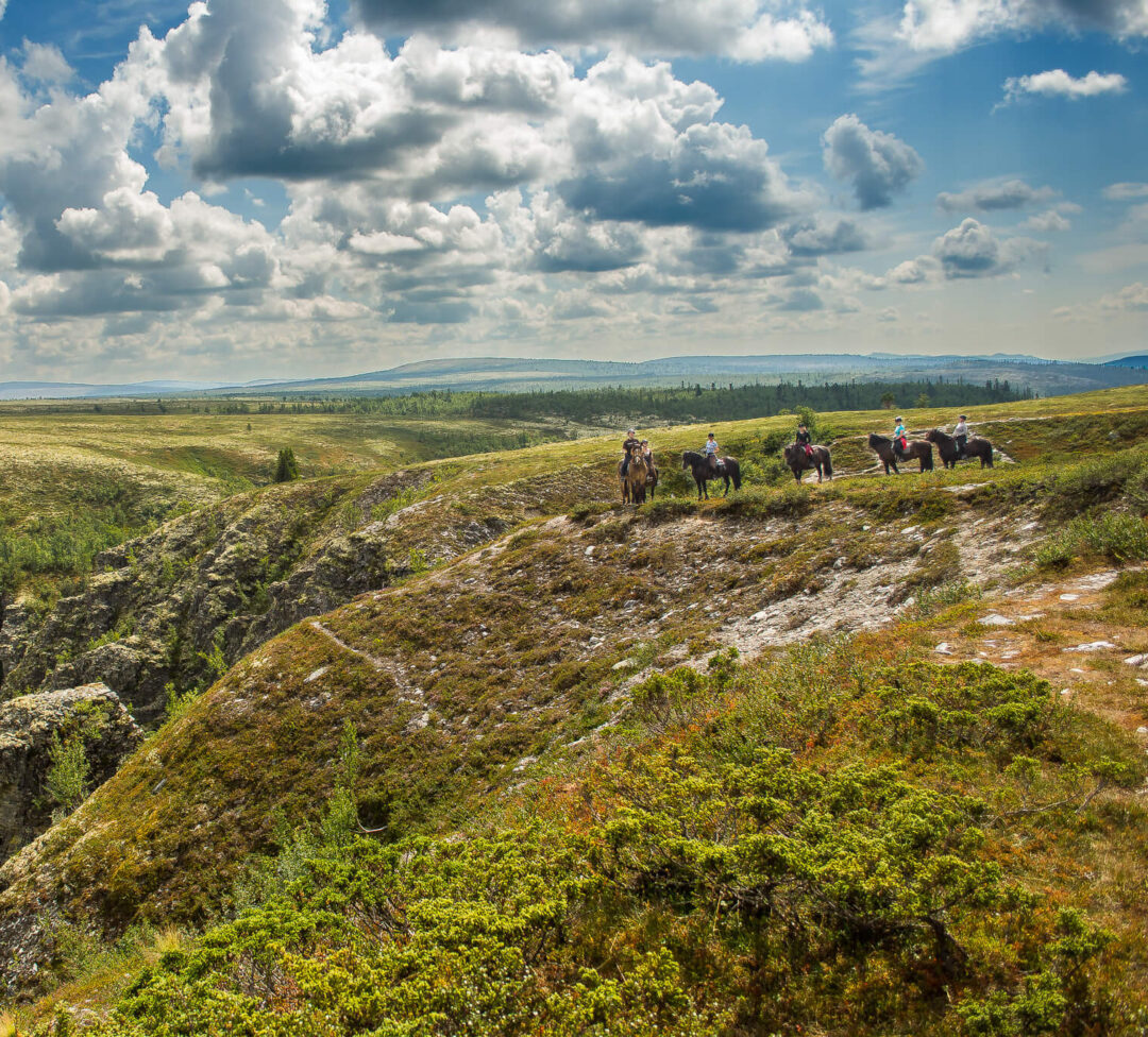 Horse riders on horseback in open countryside, travelling along a grassy hillside under a cloudy sky