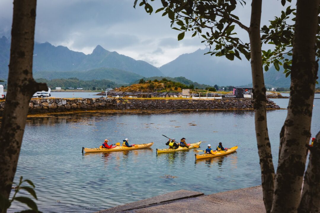 Kayakers in yellow boats paddle on a calm harbour with mountains, framed by trees.