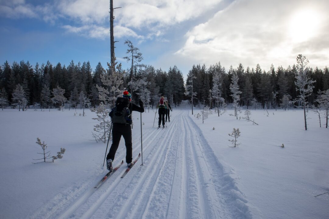 Women cross-country skiing on a snowy trail through a winter forest