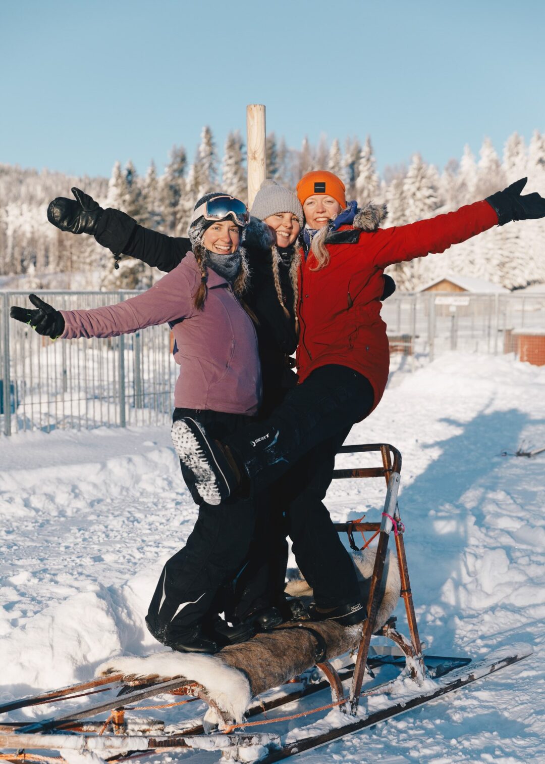 Women on a snow sleigh in snowy Lapland, winter adventure holiday