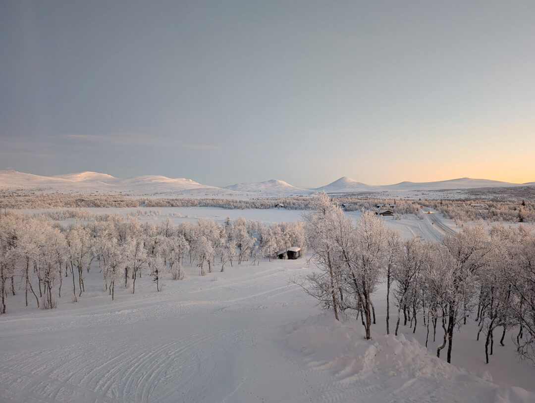 Snowy track through a frosted forest at sunrise, suitable for beginner cross-country skiing
