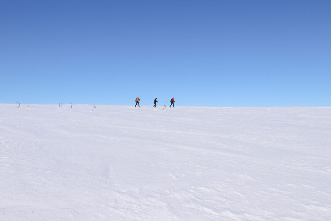 Women cross-country skiing across a snowy landscape under a clear blue sky