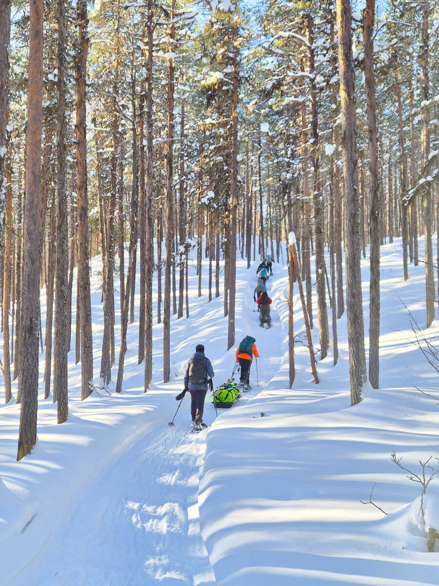 Women backcountry skiing through a snowy forest in Lapland