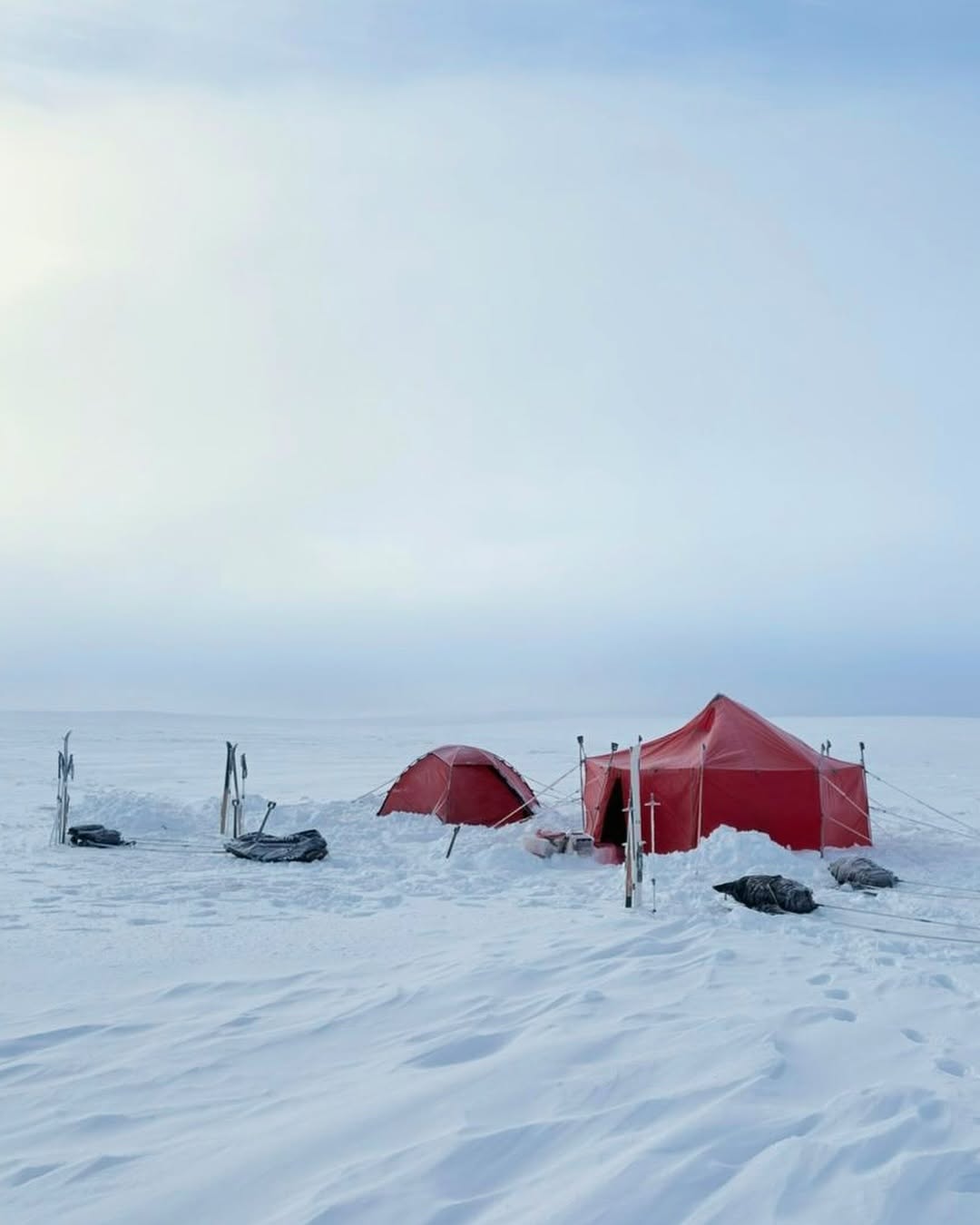 Winter camping tents on snowy wilderness with skis, in a backcountry landscape
