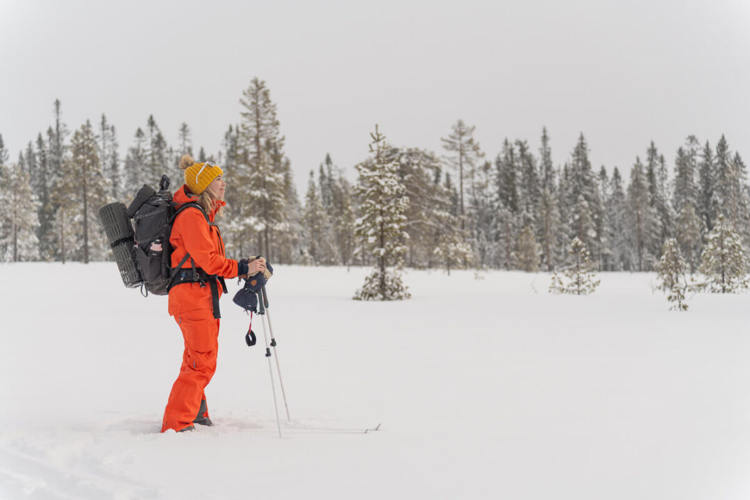 Woman skis across snowy forest in Sweden, winter camping expedition with skis and backpack.