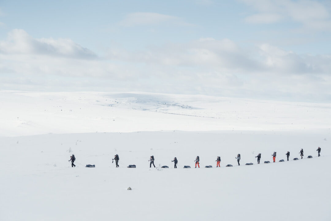 Backcountry skiers in a snowy landscape, moving across a wide winter field