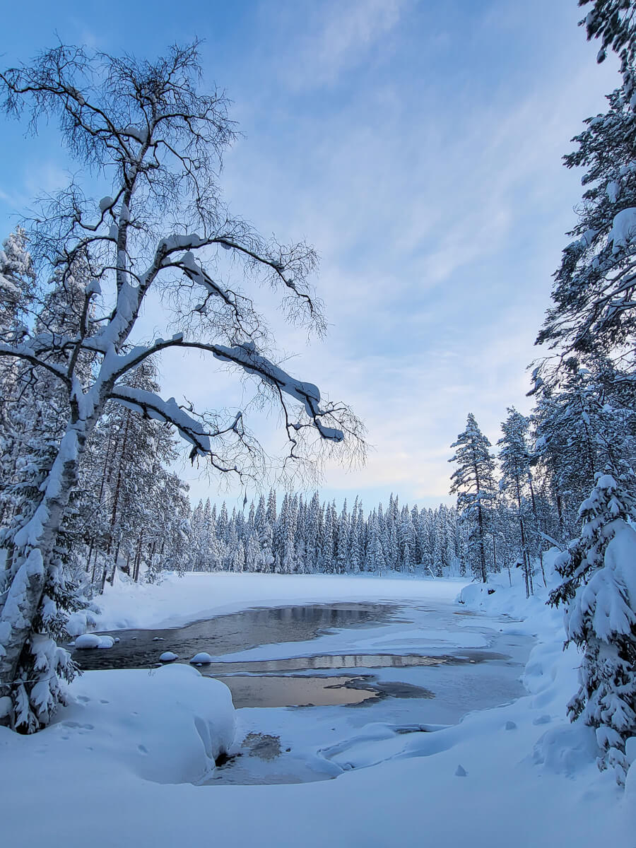 Snow-covered winter forest with a frozen river and scattered snowbanks