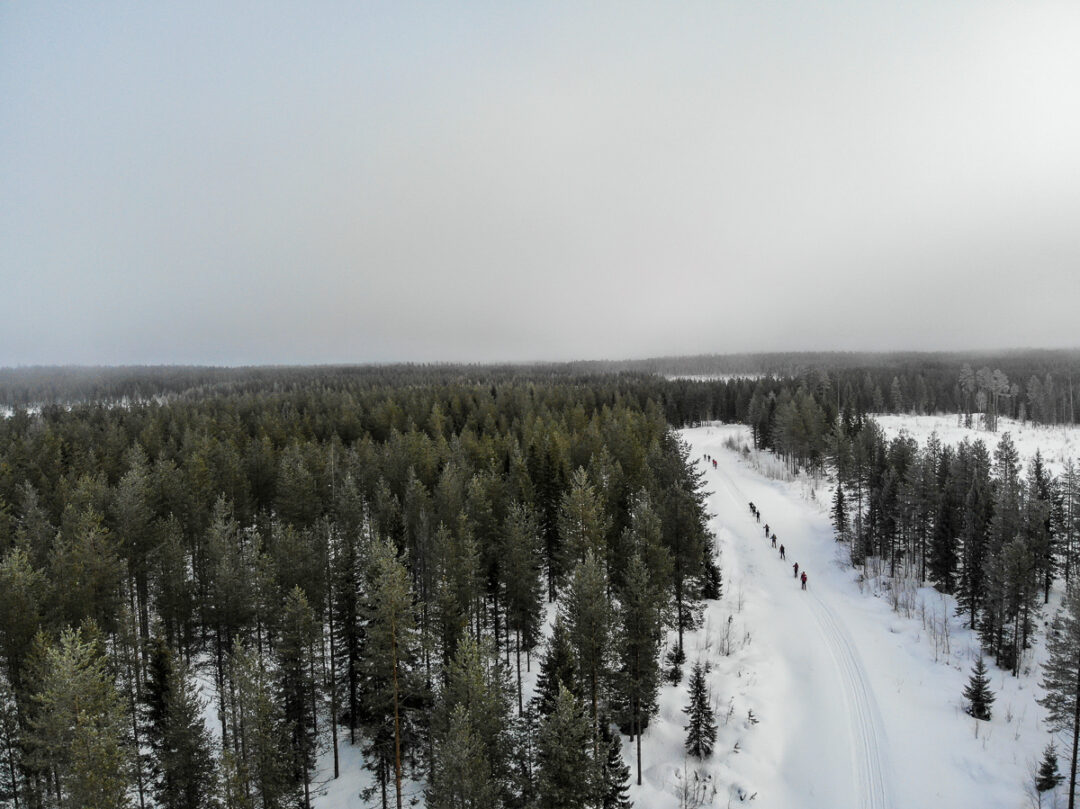 Cross-country ski track running through a snowy pine forest with riders in the distance