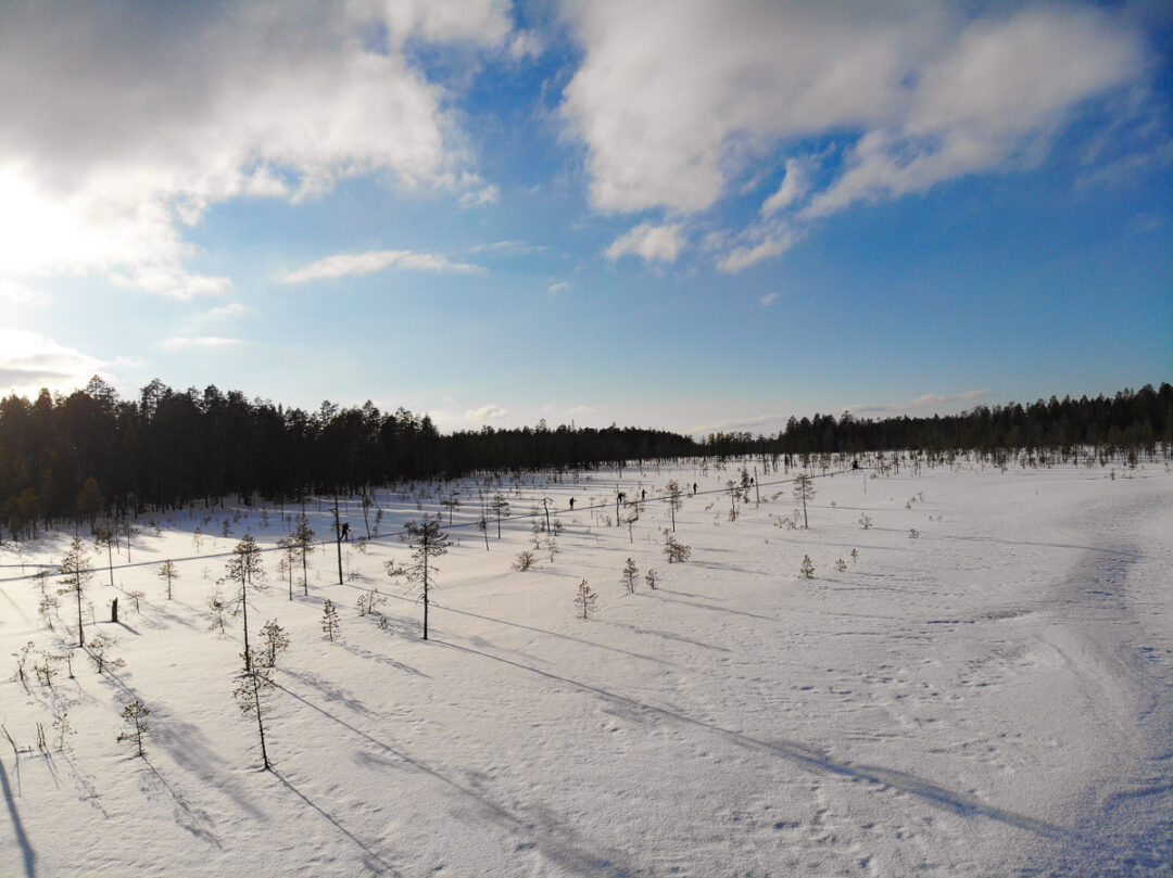 Snowy forest landscape with cross-country ski tracks across a frozen field