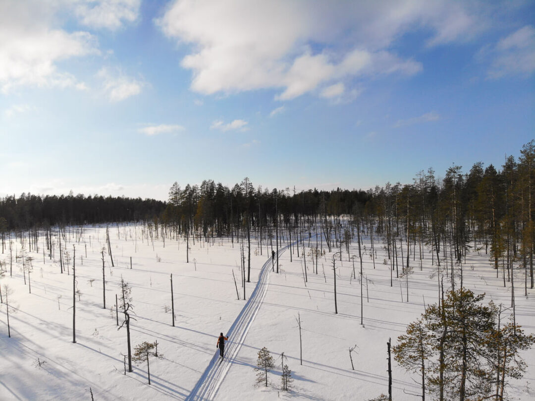 Snowy forest trail with cross-country ski tracks under blue sky