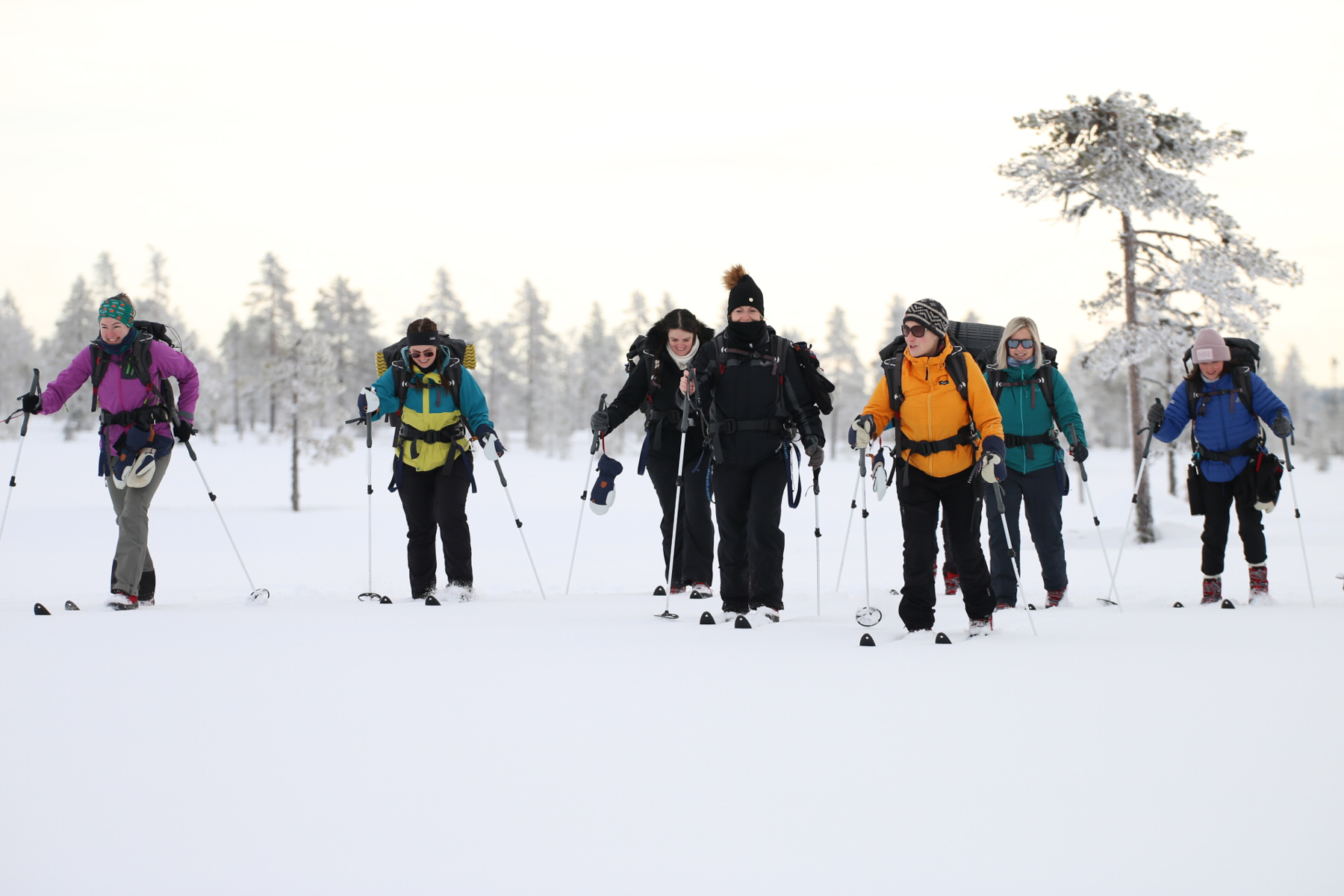 Women backcountry skiing through snowy forest in Sweden