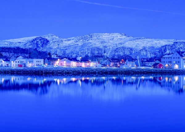 Arctic Winter: Northern Lights, Wildlife & Polar Night
