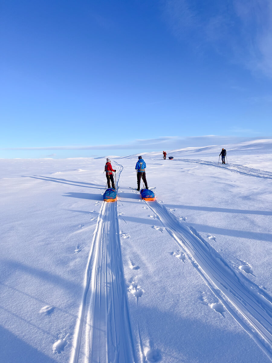 Backcountry skiers trekking across a snowy landscape with skis and tracks in clear blue conditions