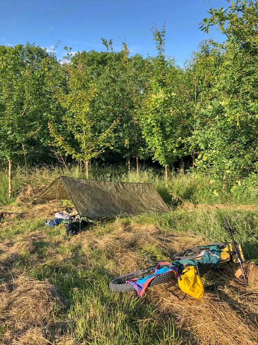 Bikepacking tent and cycling gear beside bicycles in a grassy woodland campsite