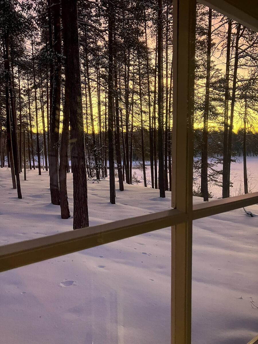 Snowy forest in Finland at sunrise, viewed from a window, with snow-covered ground and footprints in the trees