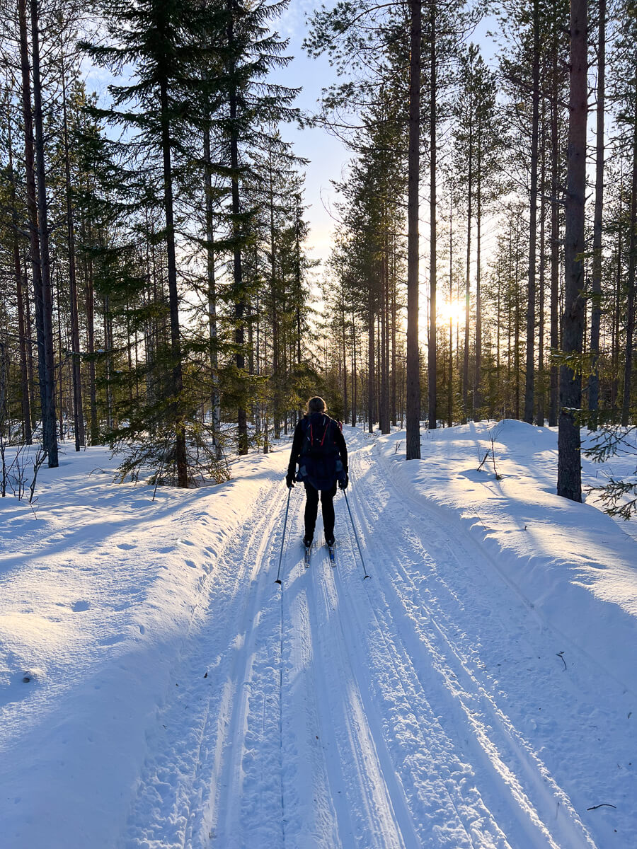 Woman cross-country skiing through a snowy forest on tracks at sunrise