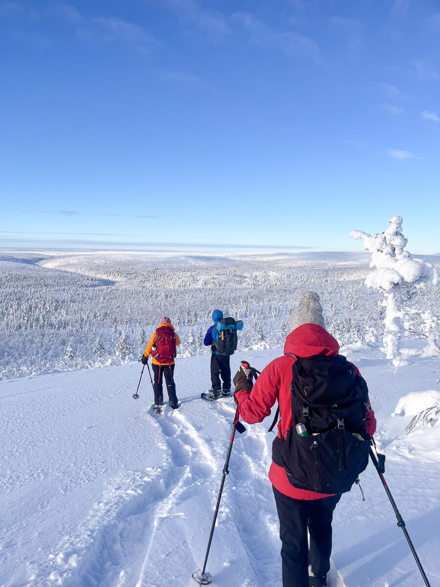 Backcountry skiers trekking across snowy forest on a clear winter day, with distant treeline under blue sky