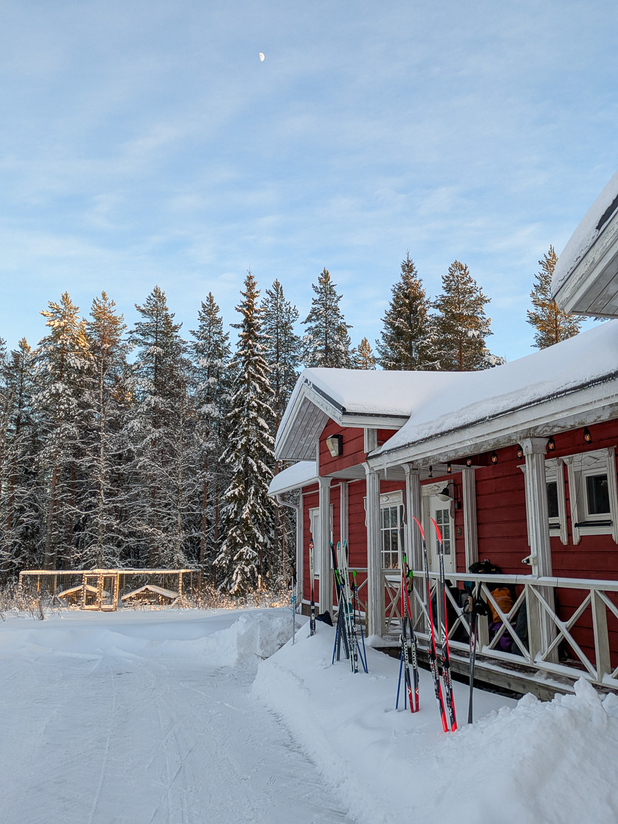 Cross-country skis leaning outside a red cabin in a snowy pine forest