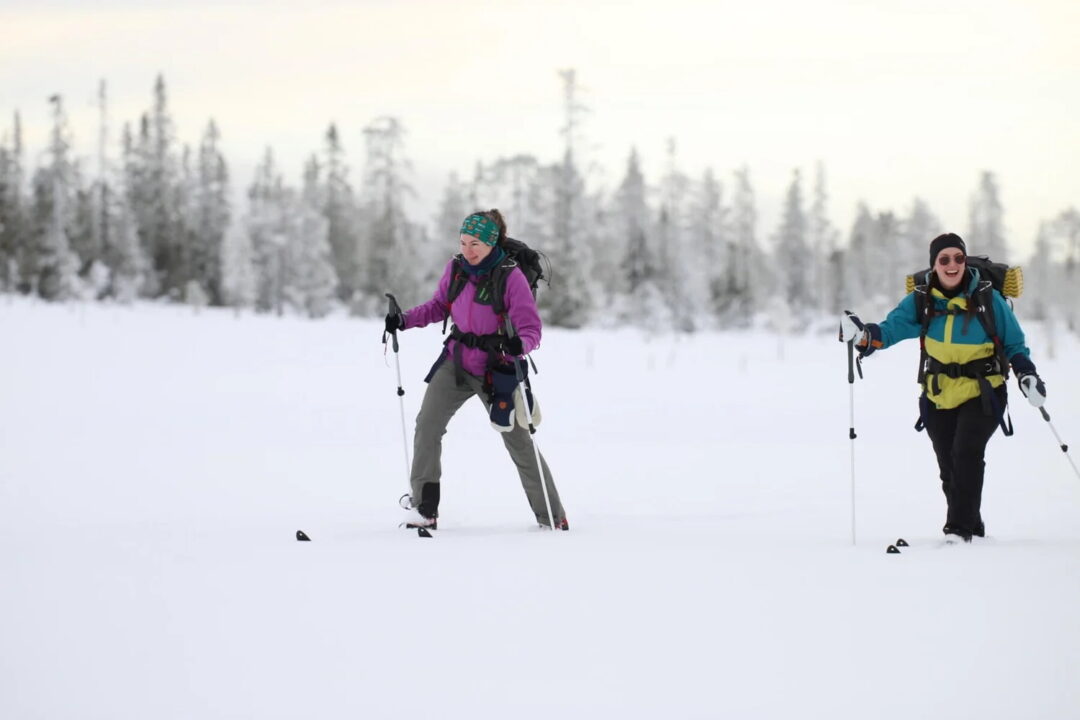 Women cross-country skiing across a snowy forest in a winter landscape