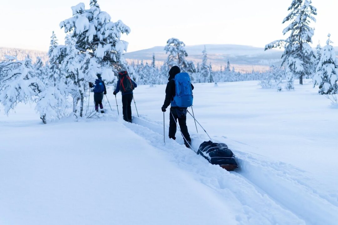 Women cross-country skiing on snowy tracks through a winter forest landscape