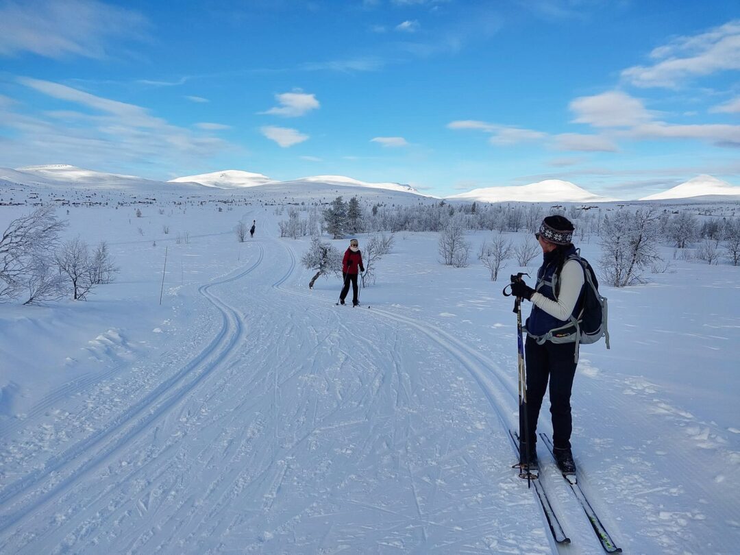 Woman cross-country skiing on a snowy trail through winter hills and fields