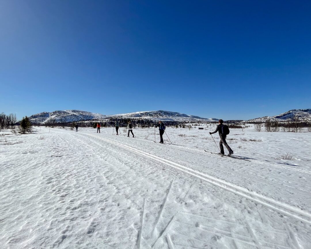 Cross-country skiers glide along a snowy trail across winter mountains under a clear blue sky