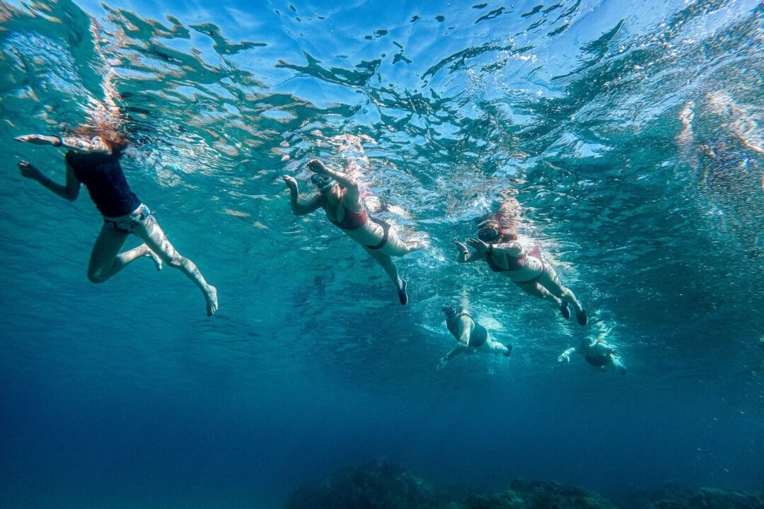 Women snorkelling underwater in a group, clear blue sea with fins and masks visible