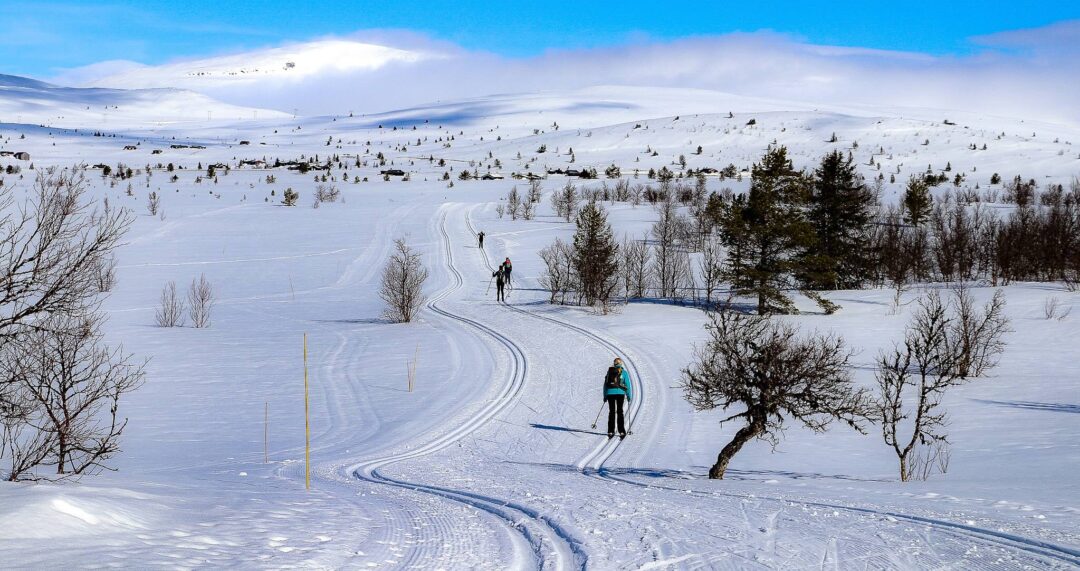 Women cross-country skiing on snow tracks through a winter landscape under a blue sky