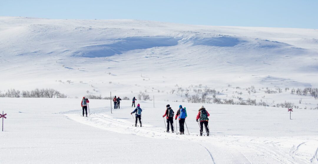 Cross-country skiing group on a snowy trail across winter hills, with skiers trekking through open countryside