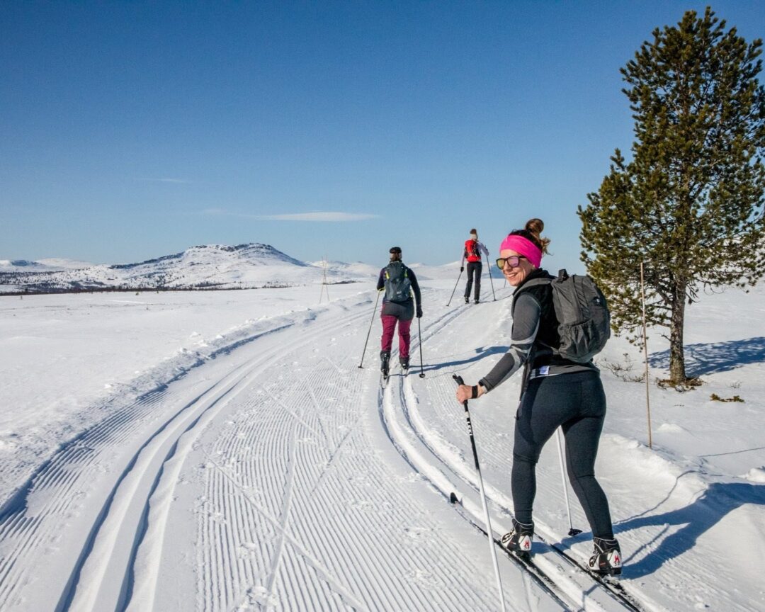 Women cross-country skiing on a snowy track in winter, with pine trees and mountains in the background