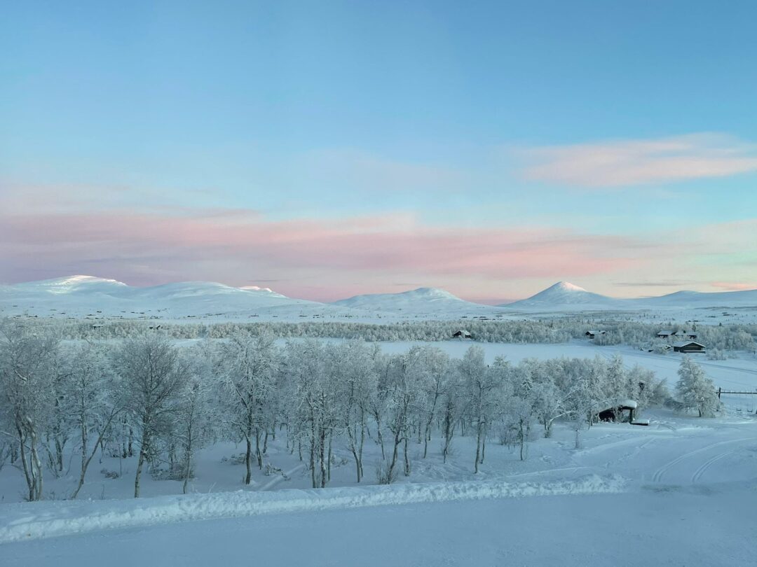 Cross-country ski tracks through snowy woodland at dusk in a wintry countryside landscape