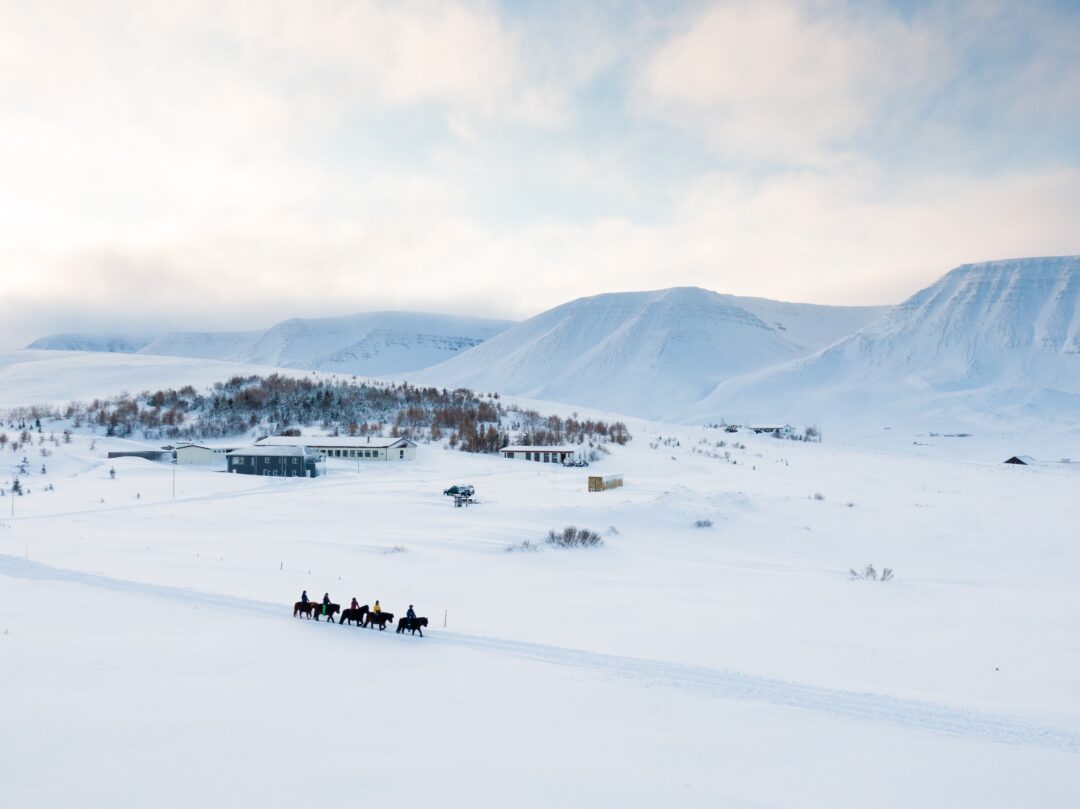 Winter sled ride across snowy countryside with hills in North Iceland