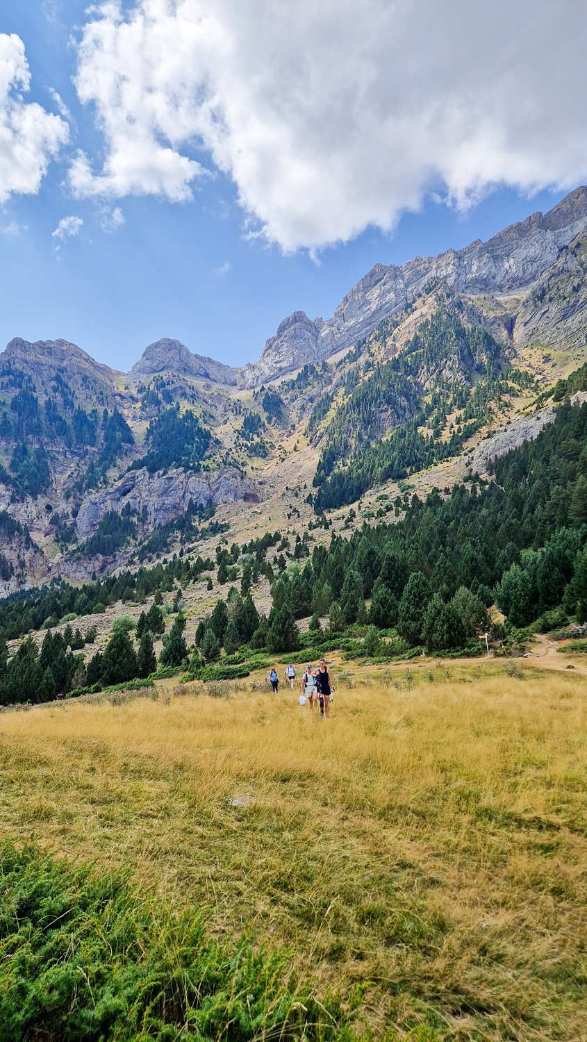 Women hiking along a mountain trail through the Spanish Pyrenees valley, surrounded by pine forest