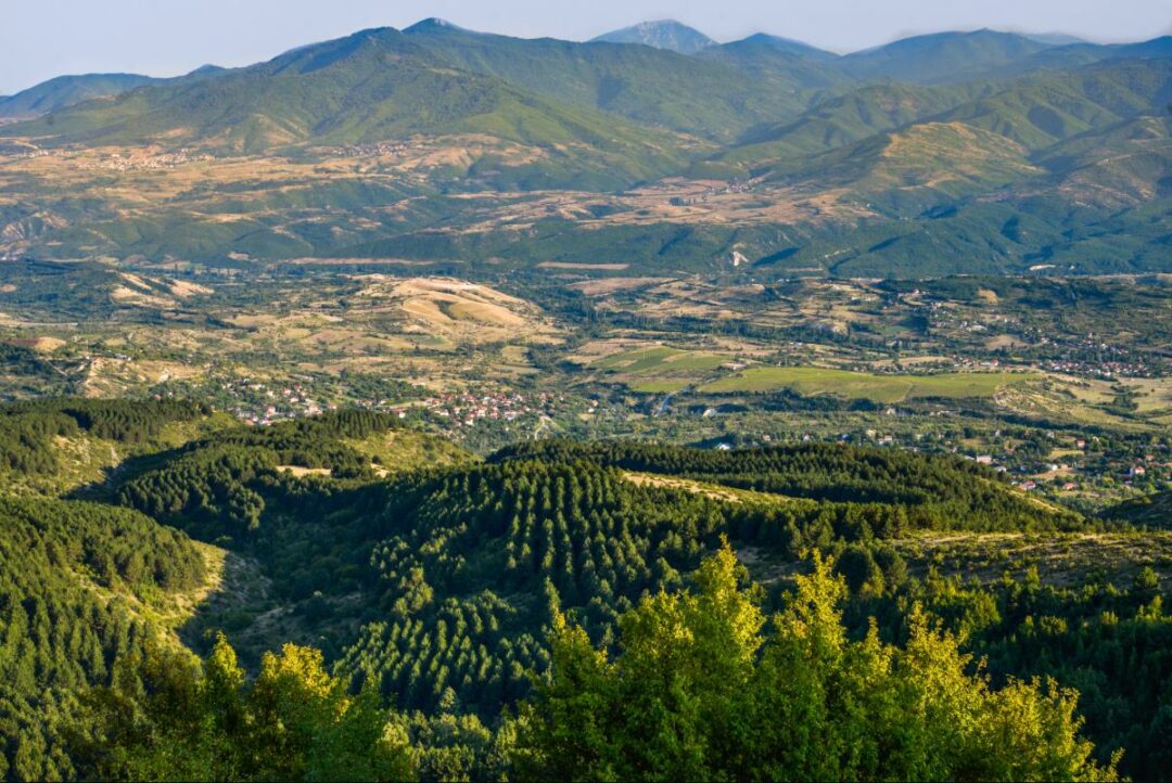 Lush green mountains and valleys in North Macedonia, viewed from a high viewpoint during a guided hiking holiday