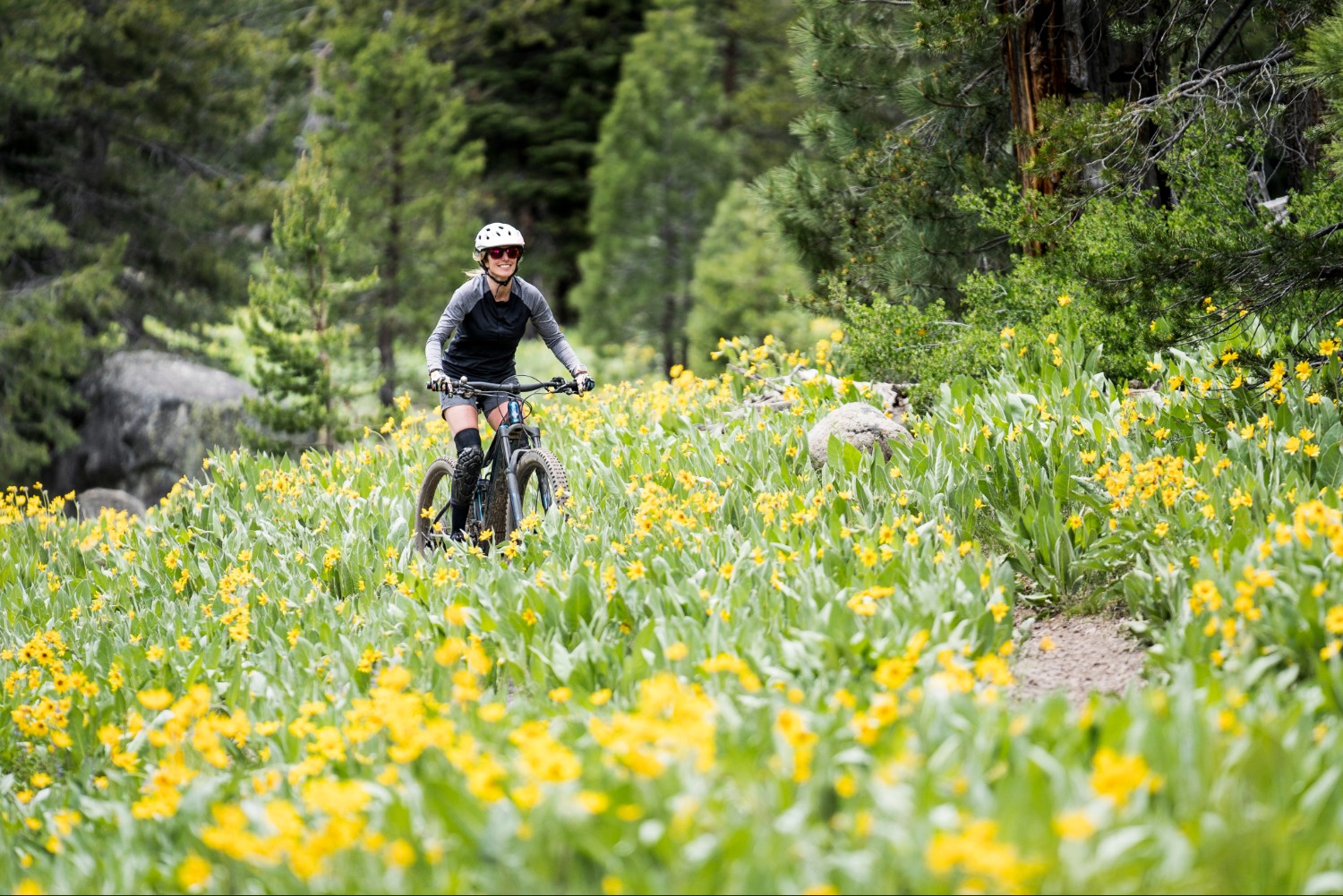 Woman cycling an e-bike along a forest trail through wildflowers