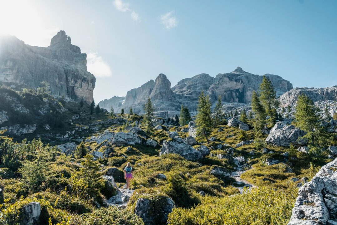 Woman hiking through the Dolomites alpine meadows with jagged mountain peaks and pine trees
