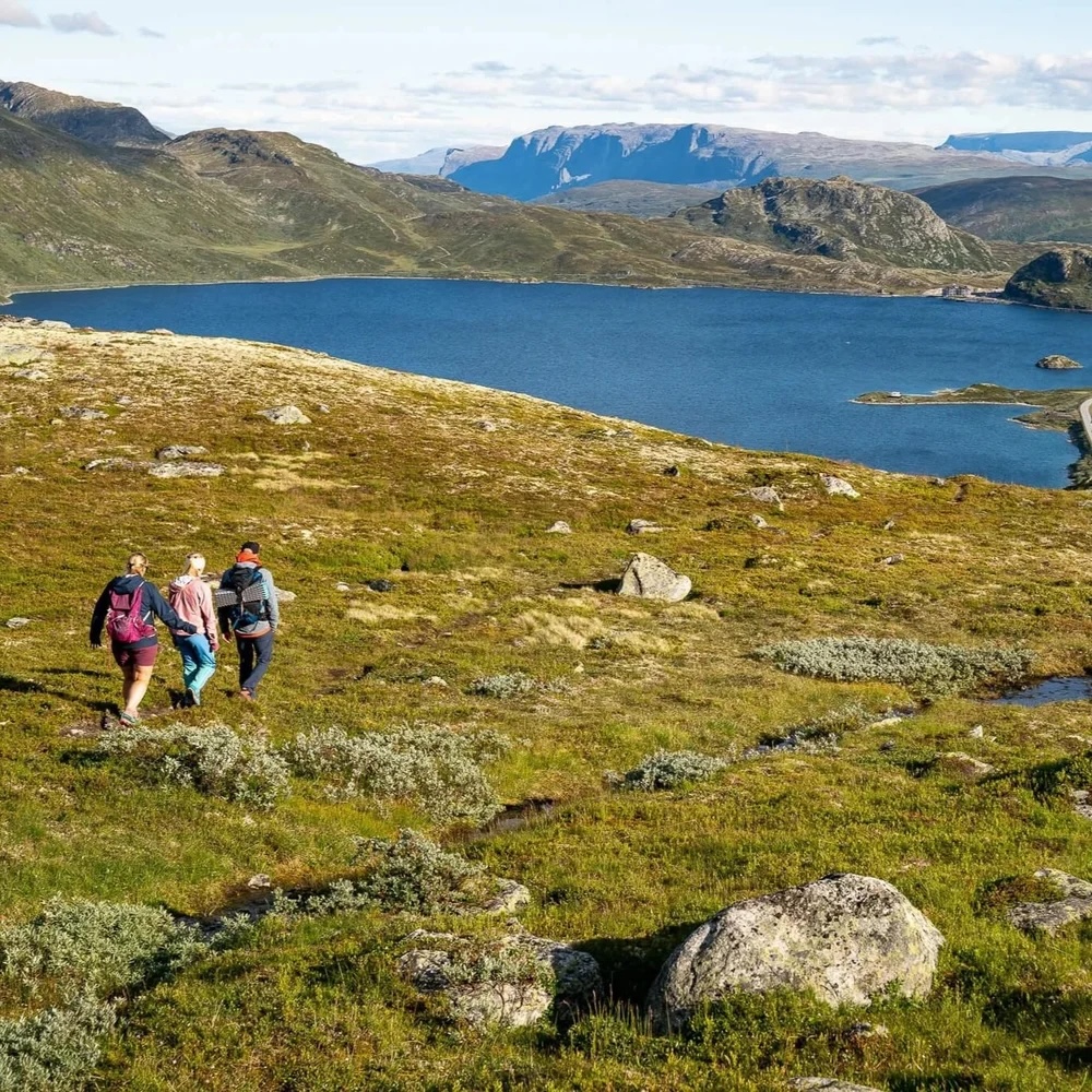 Women hiking along a grassy mountainside with a fjord view in Norway