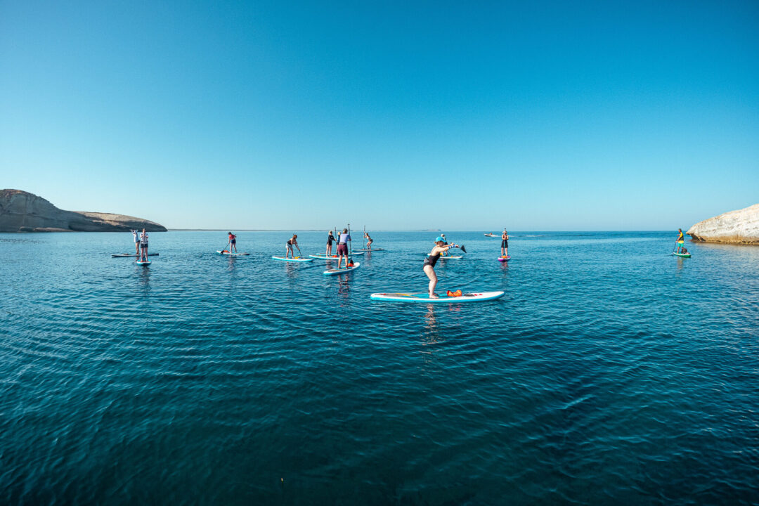 Women stand-up paddleboarding on calm open water off a coastal shoreline