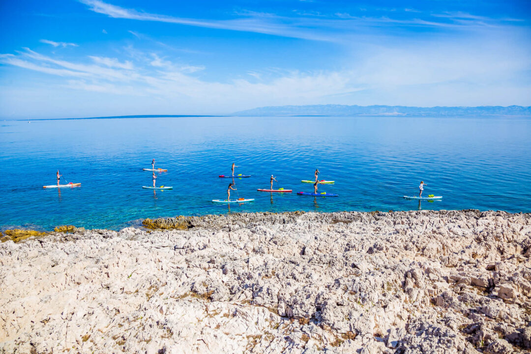 Stand-up paddleboards on a calm sea near a rocky coastline with paddlers in the water