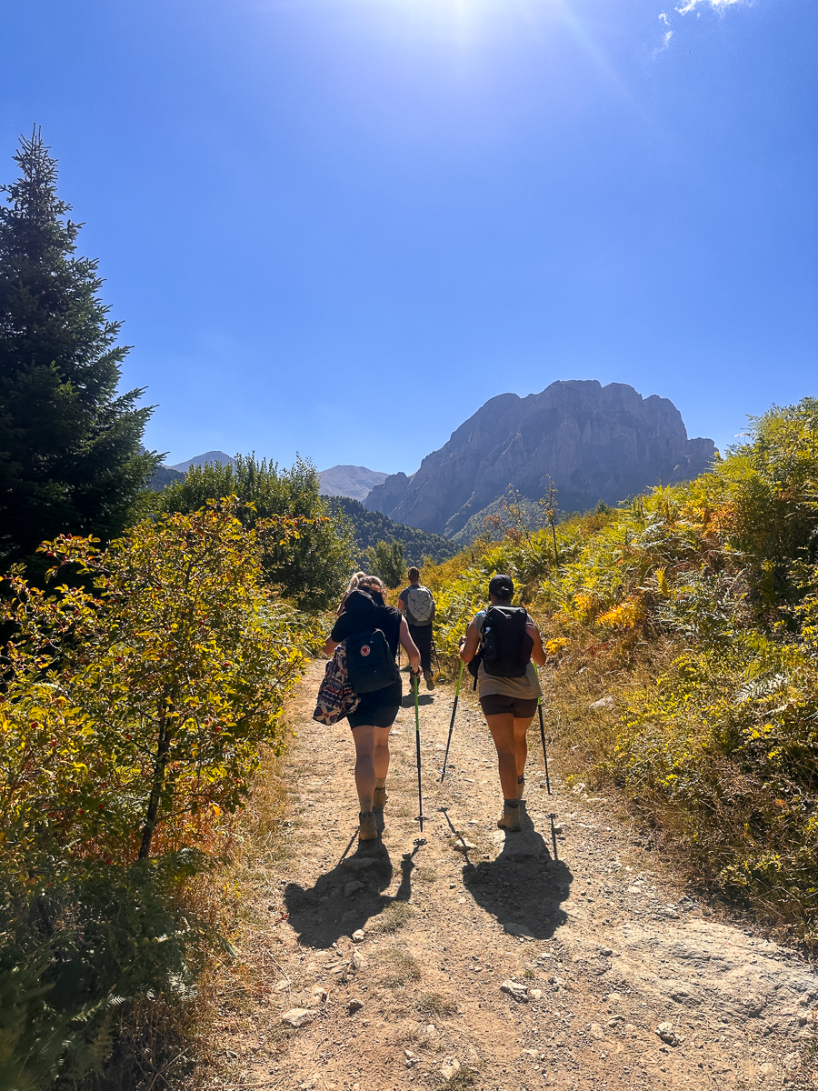 Women hike a rocky trail through forest toward mountain peaks under a clear blue sky.