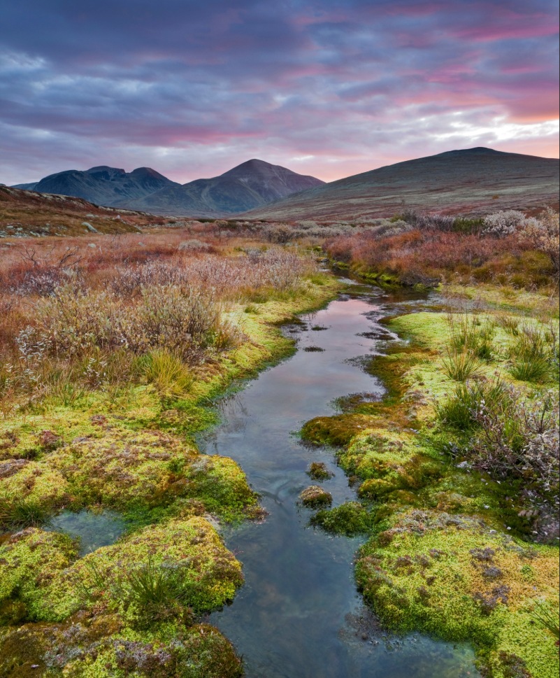 Riverside stream through tundra landscape with mountains at dusk in Norway
