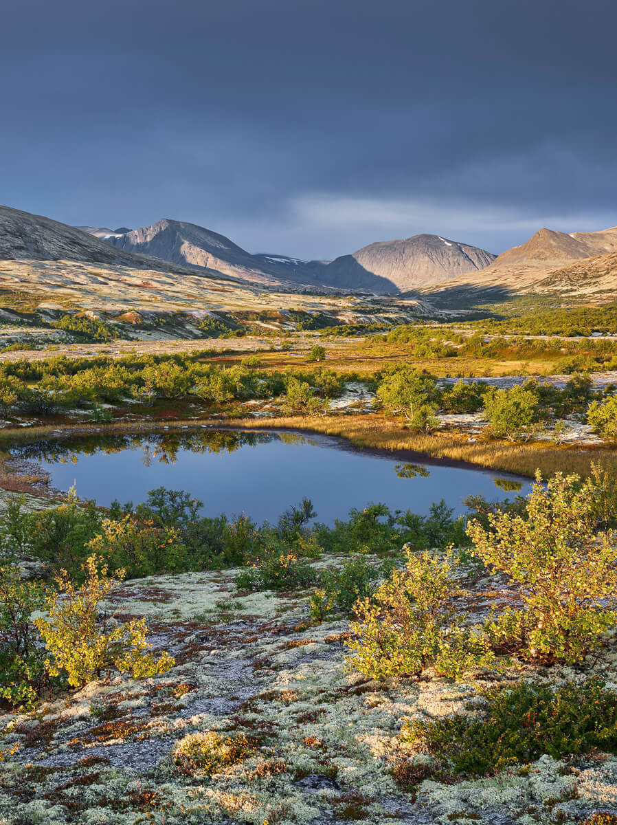 Mountain valley landscape with small pond, wild shrubs and distant peaks under a cloudy sky