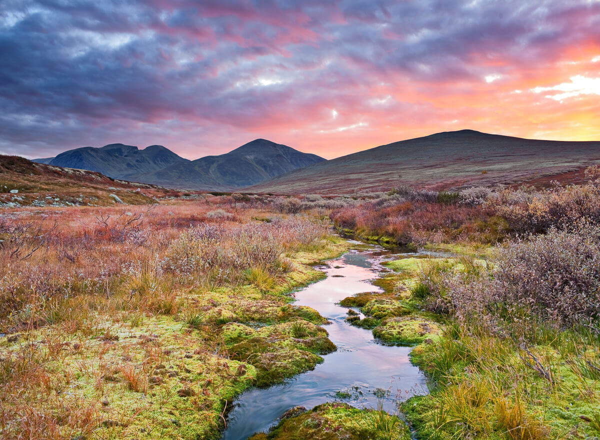 Scenic Norway hiking trail through autumn tundra at sunset with mountains and a winding stream