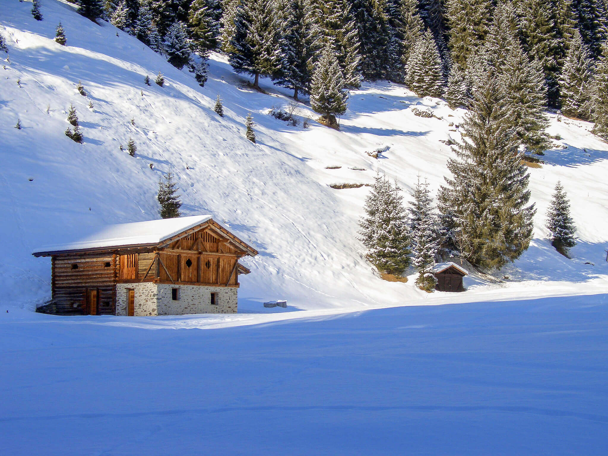 Snow-covered Dolomites alpine slope with a wooden chalet and pine forest, ideal for snowshoeing holidays