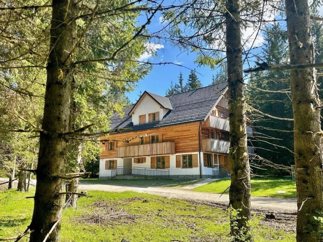 Mountain lodge hut in a pine forest clearing, set for hut-to-hut hiking trips