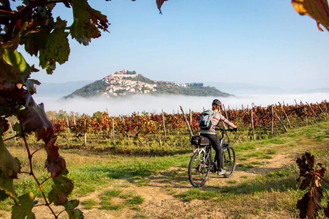 Woman cycling along a vineyard path with a misty hill town in the distance