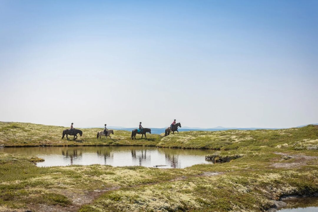 Women horse riding across grassy tundra beside a pond