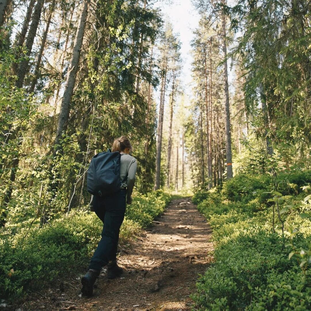 Woman hiking a forest trail with a backpack, surrounded by tall trees and green undergrowth